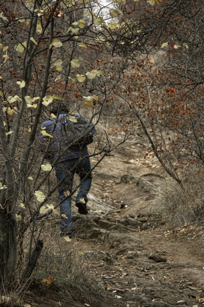 GEORGIA – «Los Caldeos»