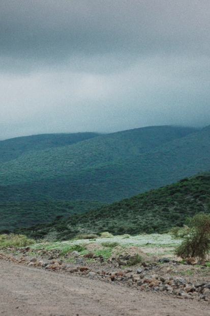 TANZANIA – «Esaro»